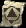 forum (2).png