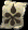 forum (3).png