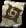 forum (4).png